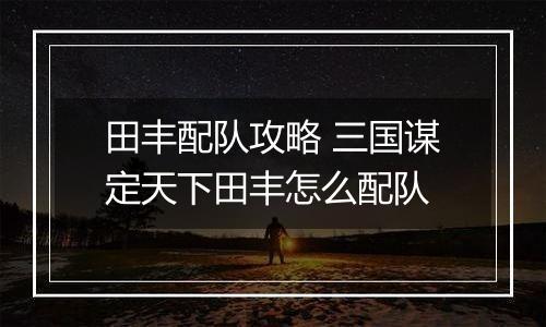 田丰配队攻略 三国谋定天下田丰怎么配队