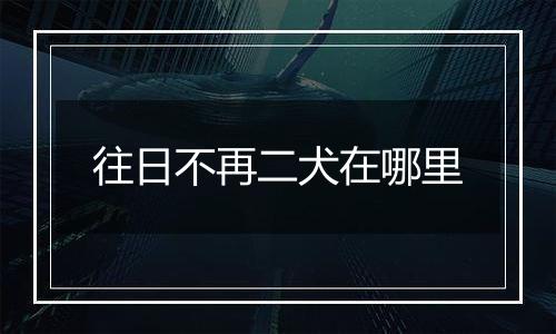 往日不再二犬在哪里