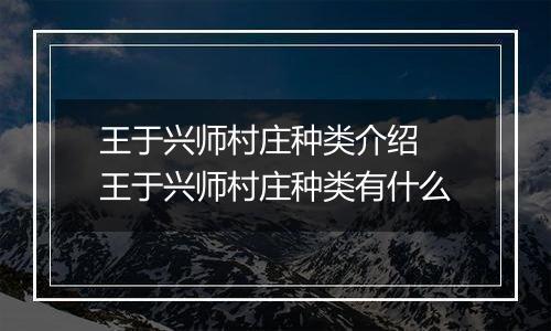 王于兴师村庄种类介绍 王于兴师村庄种类有什么