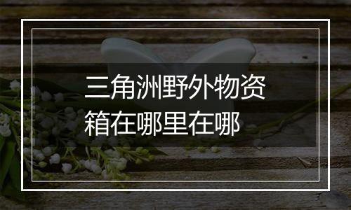 三角洲野外物资箱在哪里在哪