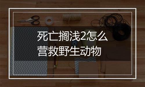 死亡搁浅2怎么营救野生动物