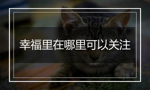 幸福里在哪里可以关注