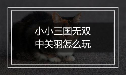 小小三国无双中关羽怎么玩