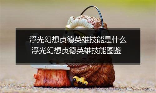 浮光幻想贞德英雄技能是什么 浮光幻想贞德英雄技能图鉴