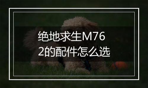 绝地求生M762的配件怎么选
