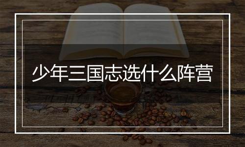 少年三国志选什么阵营