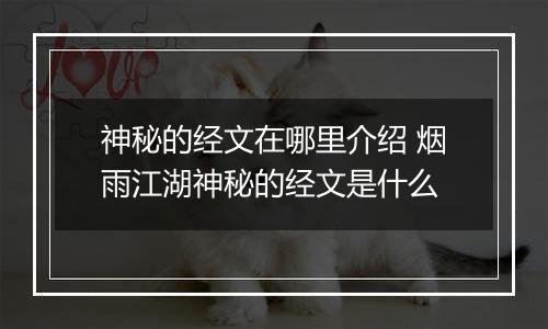 神秘的经文在哪里介绍 烟雨江湖神秘的经文是什么