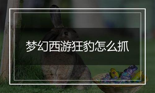 梦幻西游狂豹怎么抓