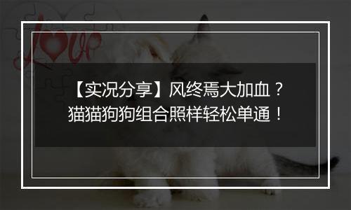 【实况分享】风终焉大加血？猫猫狗狗组合照样轻松单通！