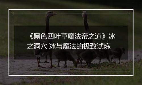 《黑色四叶草魔法帝之道》冰之洞穴 冰与魔法的极致试炼