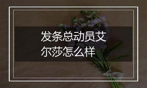 发条总动员艾尔莎怎么样