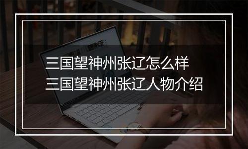 三国望神州张辽怎么样 三国望神州张辽人物介绍